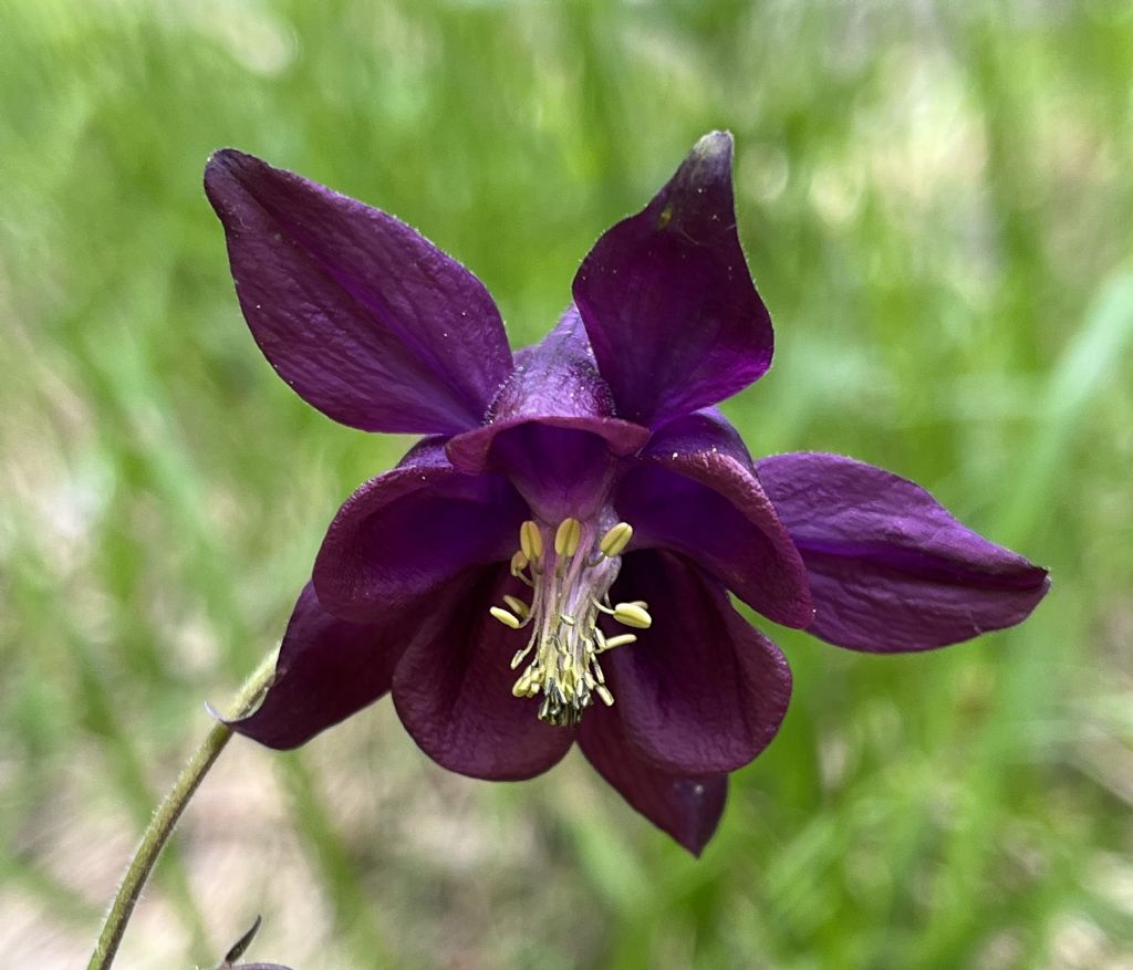 Bocca di Valle...Bondone (TN)
